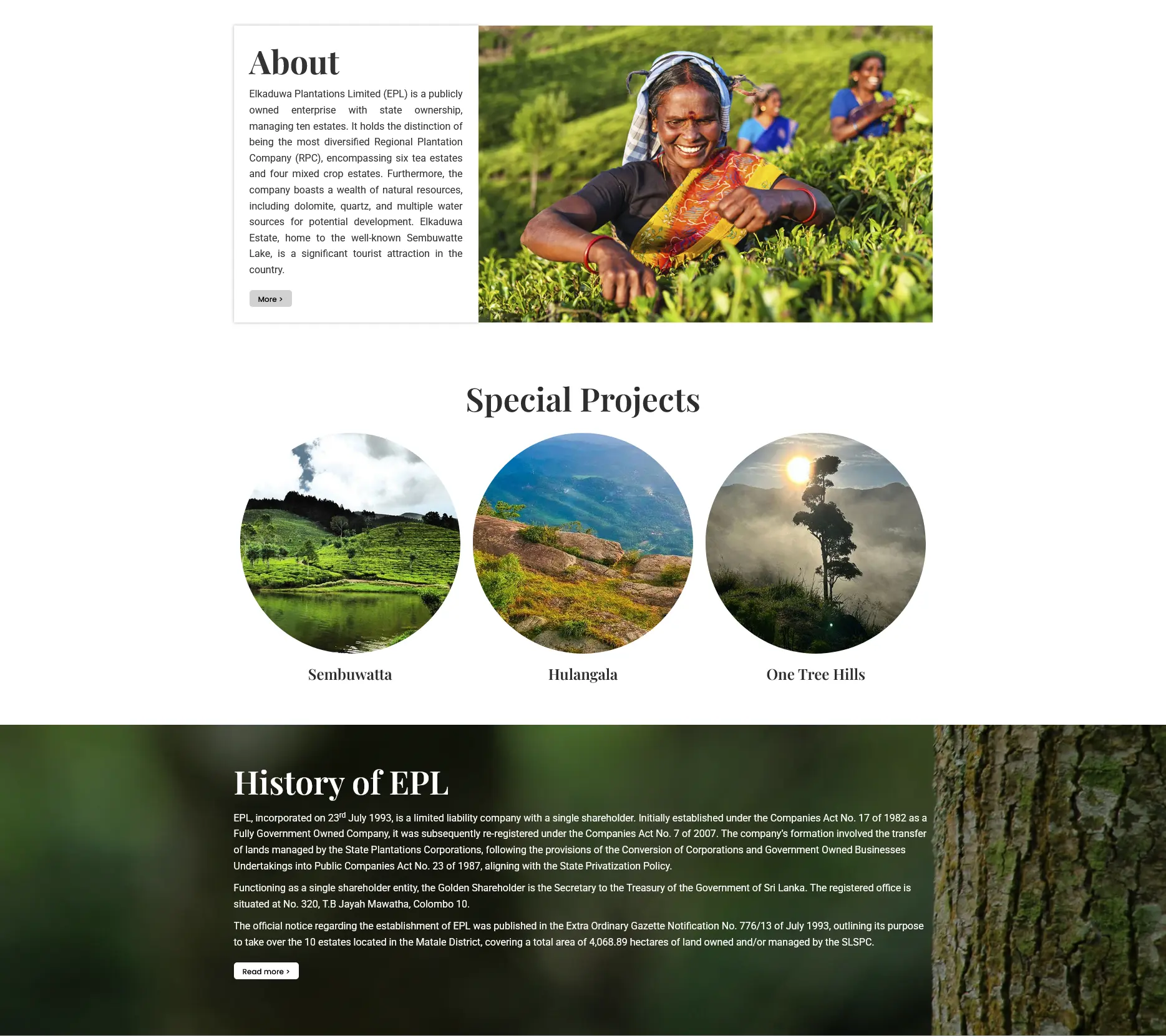 Elkaduwa Plantations - About and History Section
