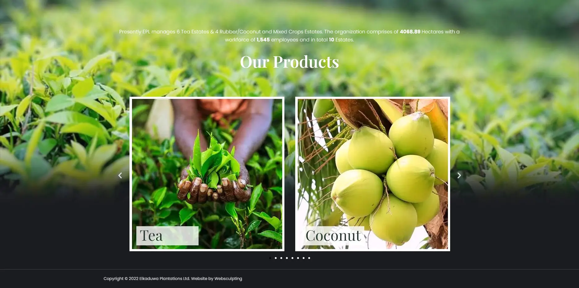 Elkaduwa Plantations - Products Section
